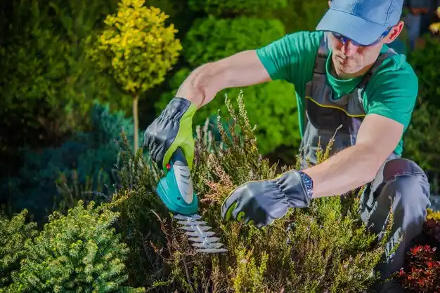 landscaping services Sunset Bay
